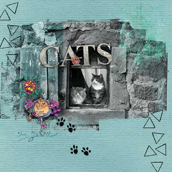 cats