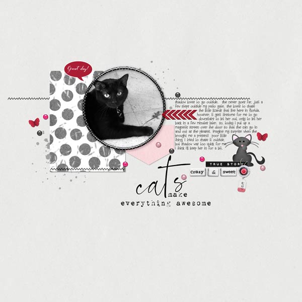 Cats