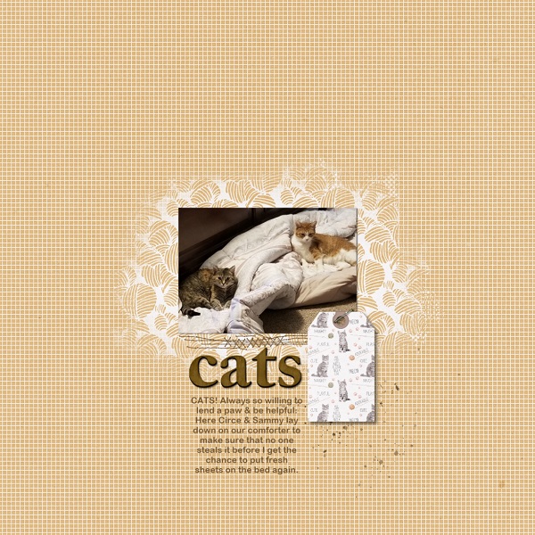 Cats