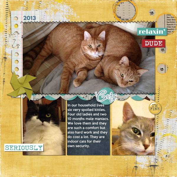 Cats