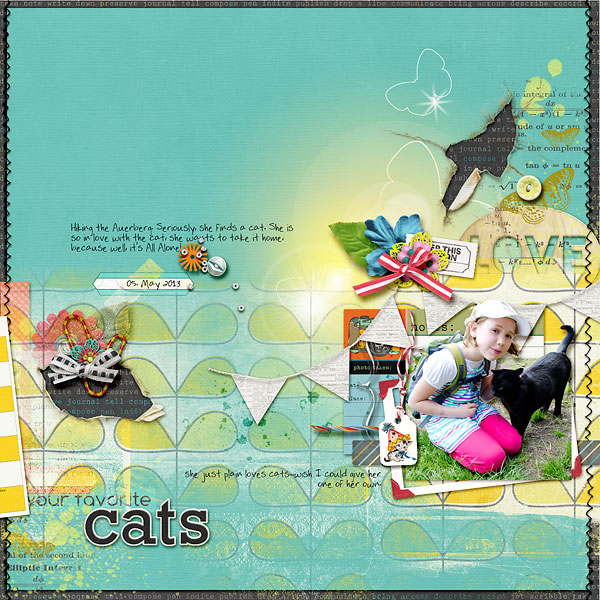 cats...