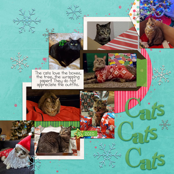 CatsCatsCats