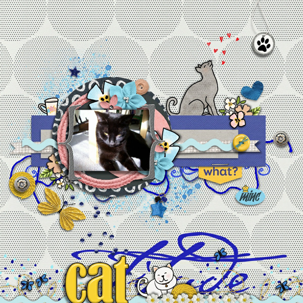 CATtitude