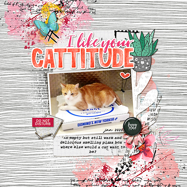 Cattitude