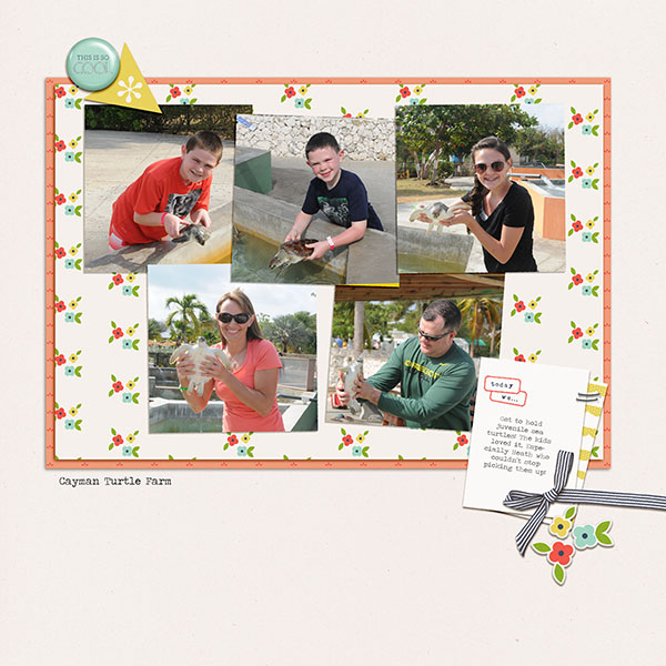 Cayman Turtle Farm 2