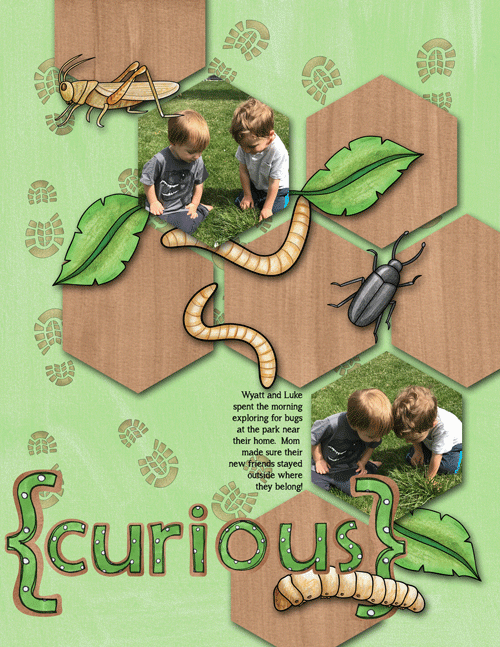 Cayton-bugs-2-web
