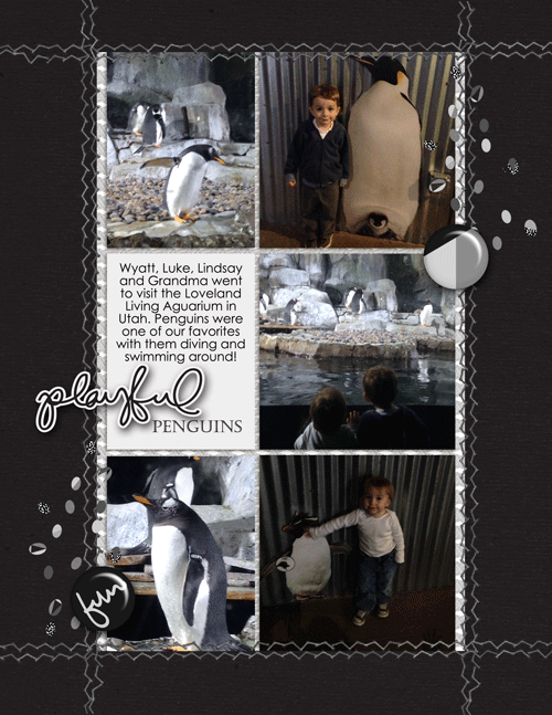 Cayton-penguins-web