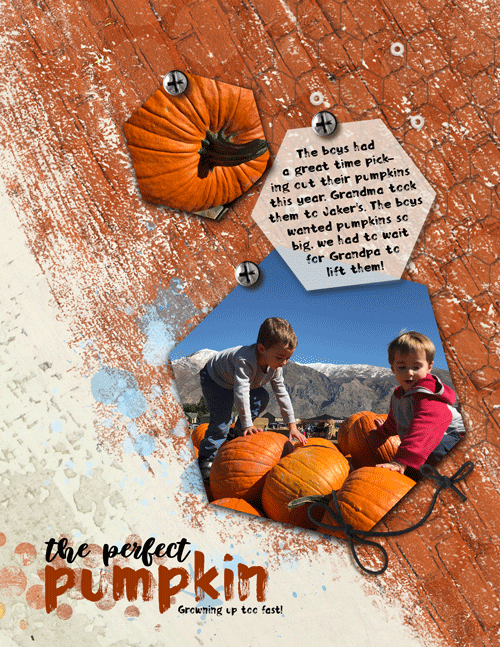 Cayton-pumpkin-web