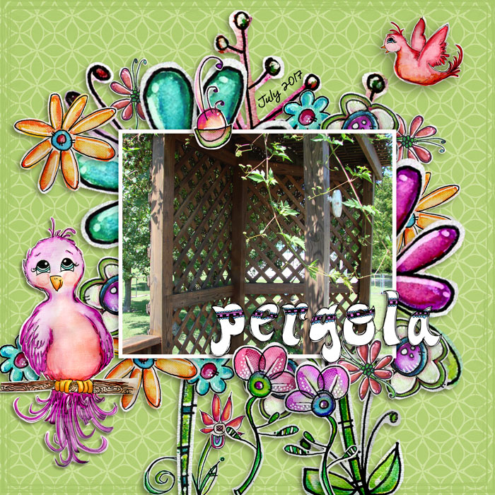 CDMuckosky-pergola