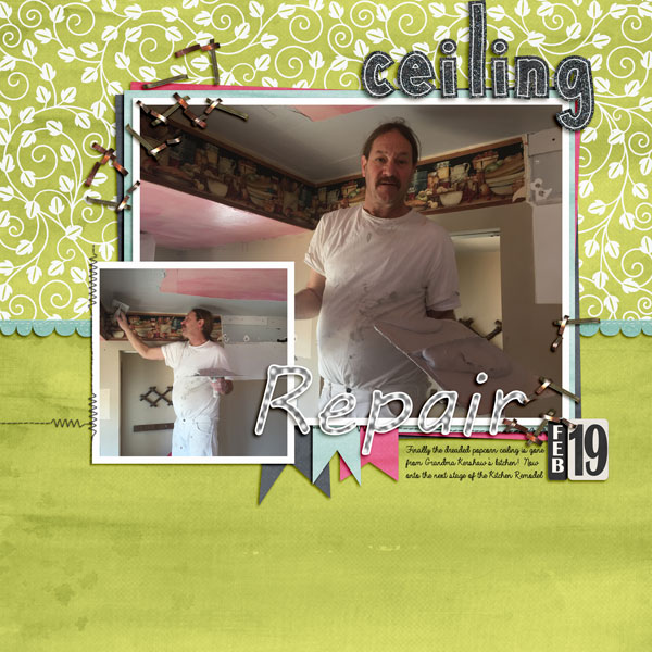 Ceiling Repair