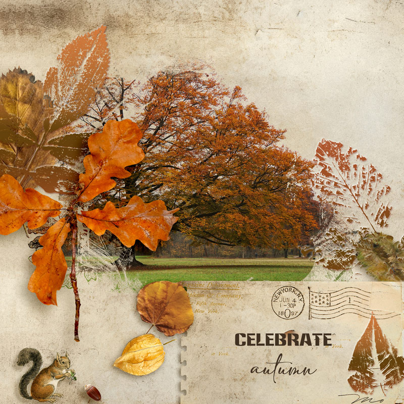 Celebrate Autumn