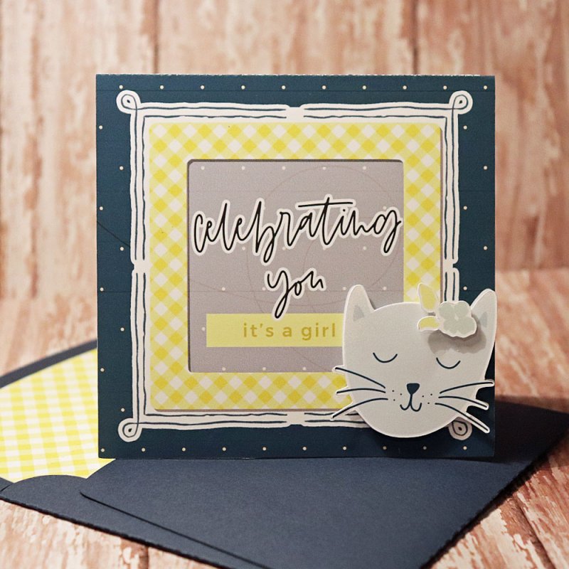Celebrate Baby Girl Card