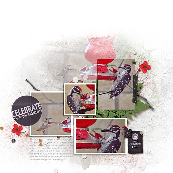 Celebrate everyday Moments
