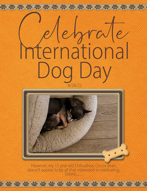 Celebrate-International-Dog-Day