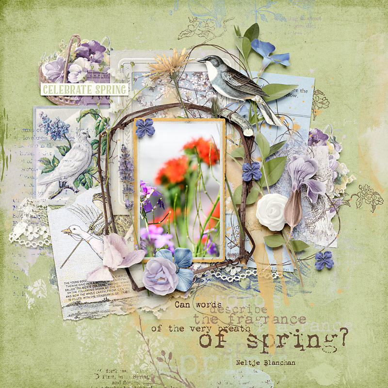 Celebrate Spring
