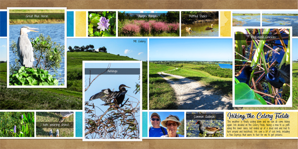 Celery Fields Hike