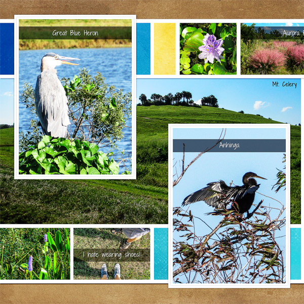 Celery Fields Hike_left