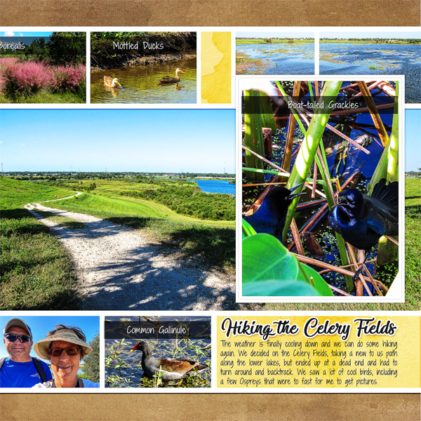 Celery Fields Hike_right