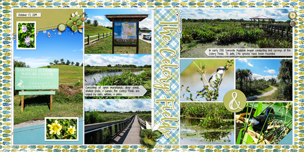 Celery Fields