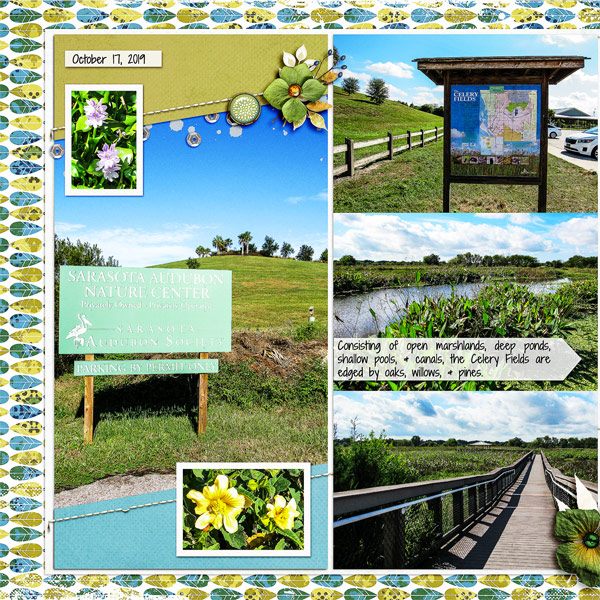 Celery Fields_left