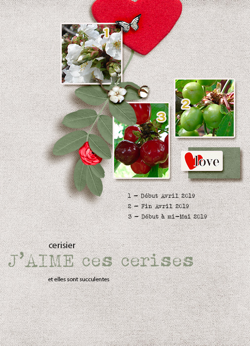 Cerises