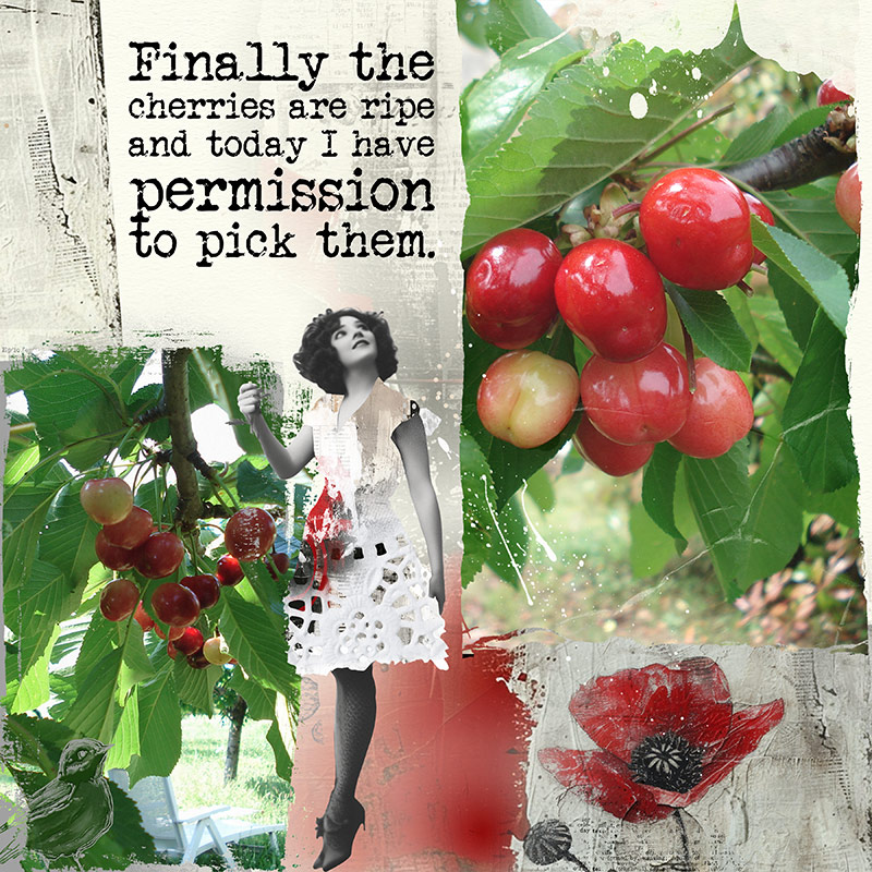 Cerises