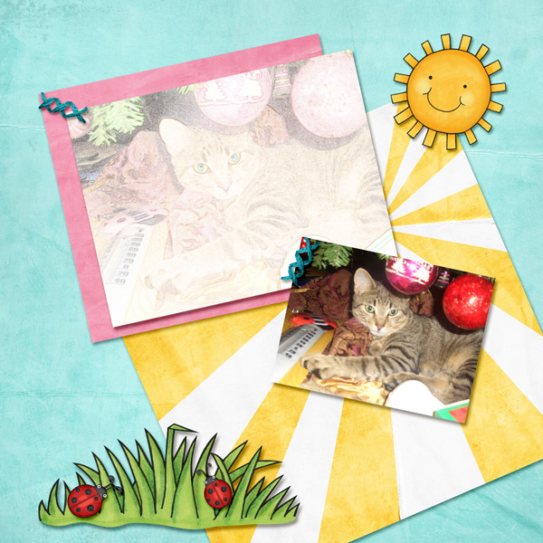 Challeng 5: Photo Effect
