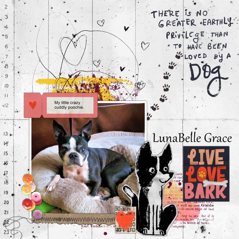 Challenge:  Barnyard Buddies