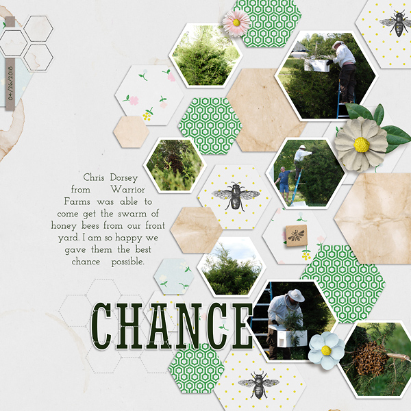 Chance