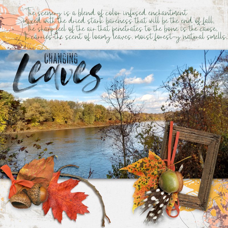 Changing Leaves