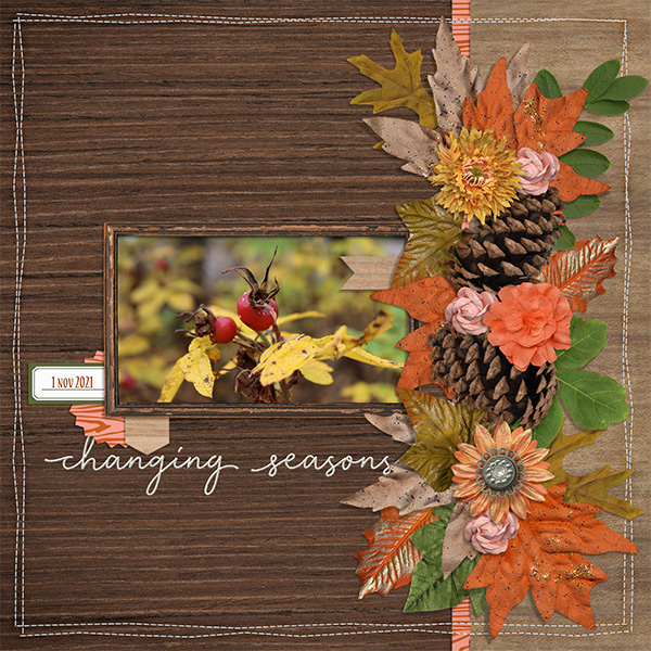 Changing Seasons