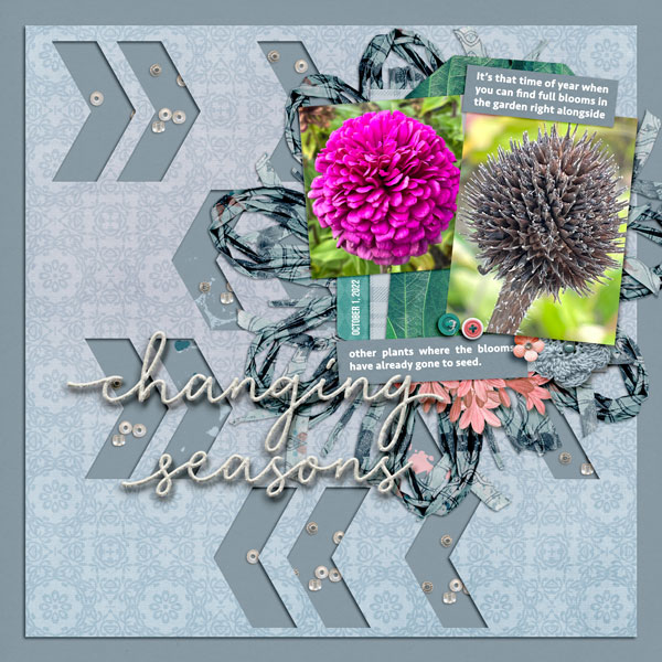 Changing_Seasons