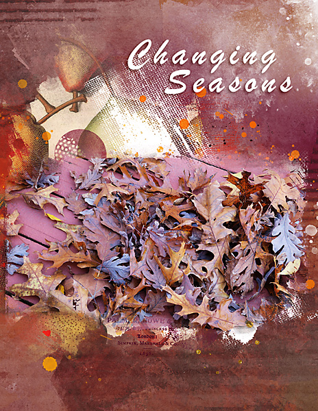 ChangingSeasons_flowersgal_web