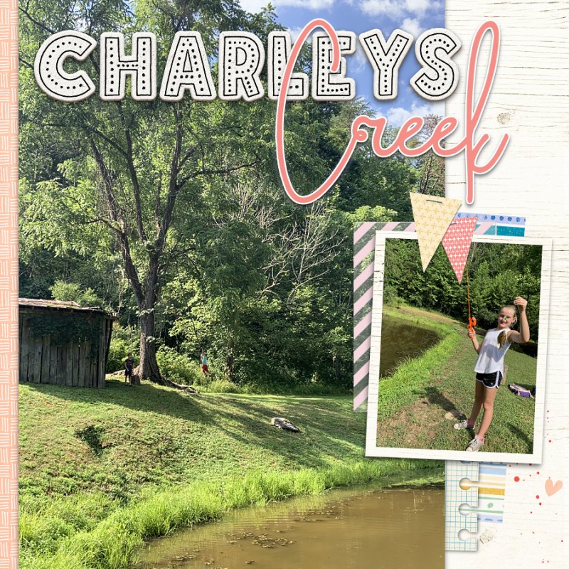 Charley's Creek July 2020 -right