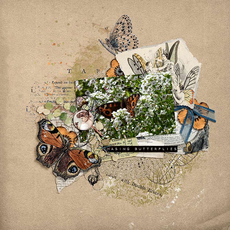 CHASING BUTTERFLIES