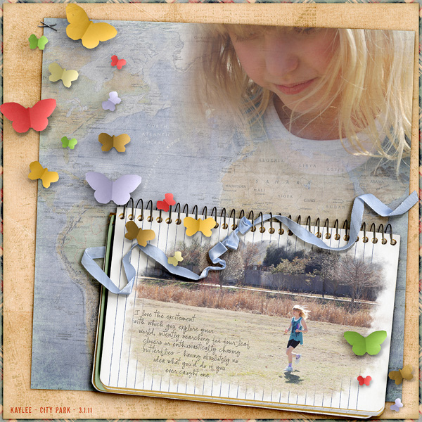 Chasing Butterflies