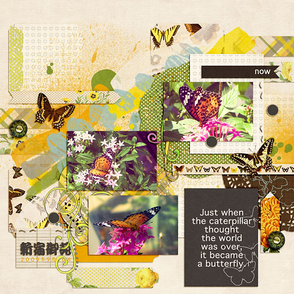 Chasing Butterflies