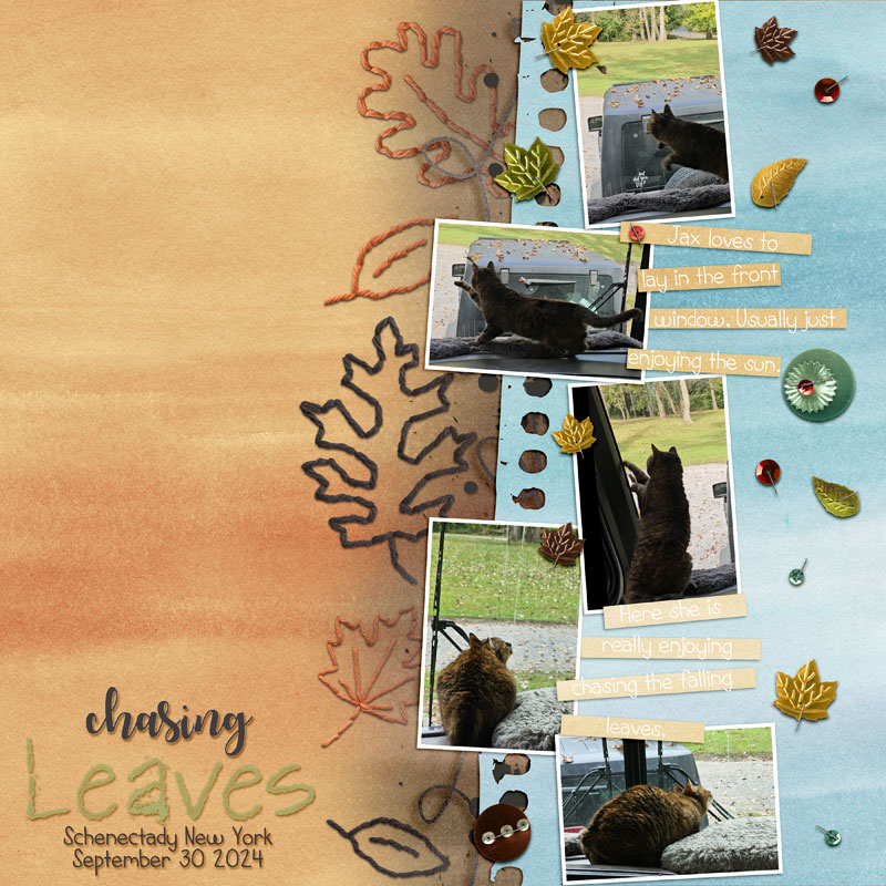 Chasing Leaves