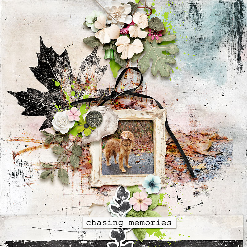 Chasing Memories