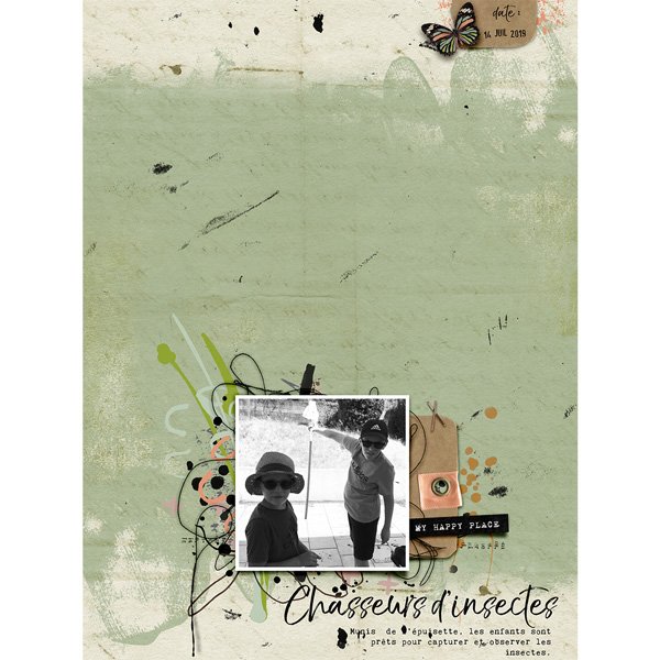 Chasseurs d'insectes