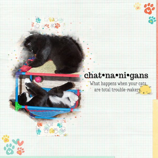 Chatnanigans