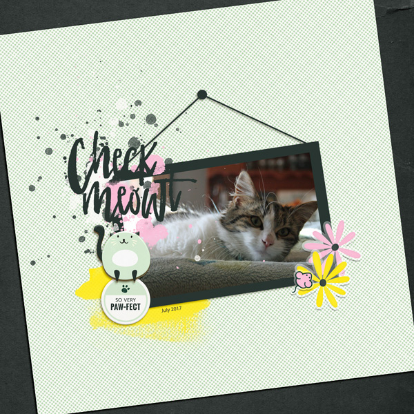 Check meowt
