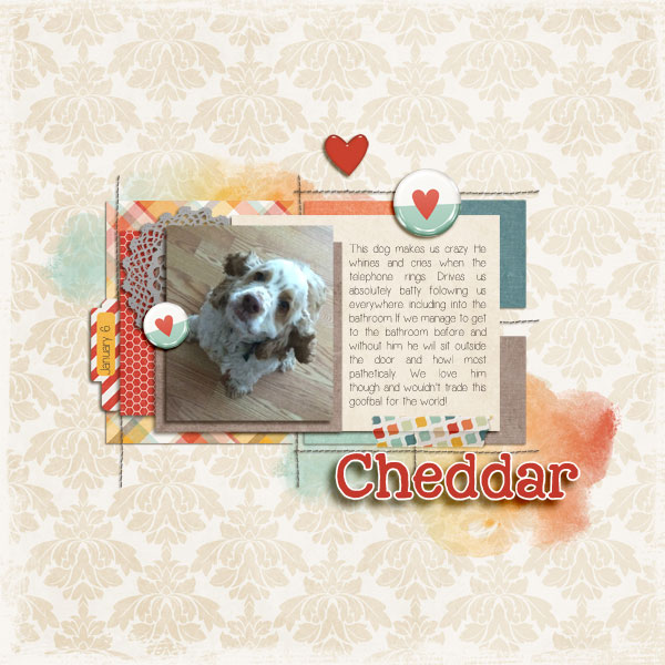 Cheddar
