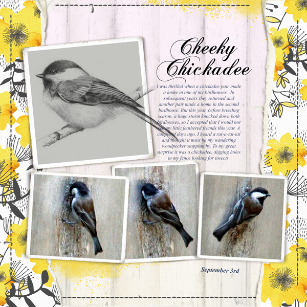 Cheeky Chickadee - Sept Challenge