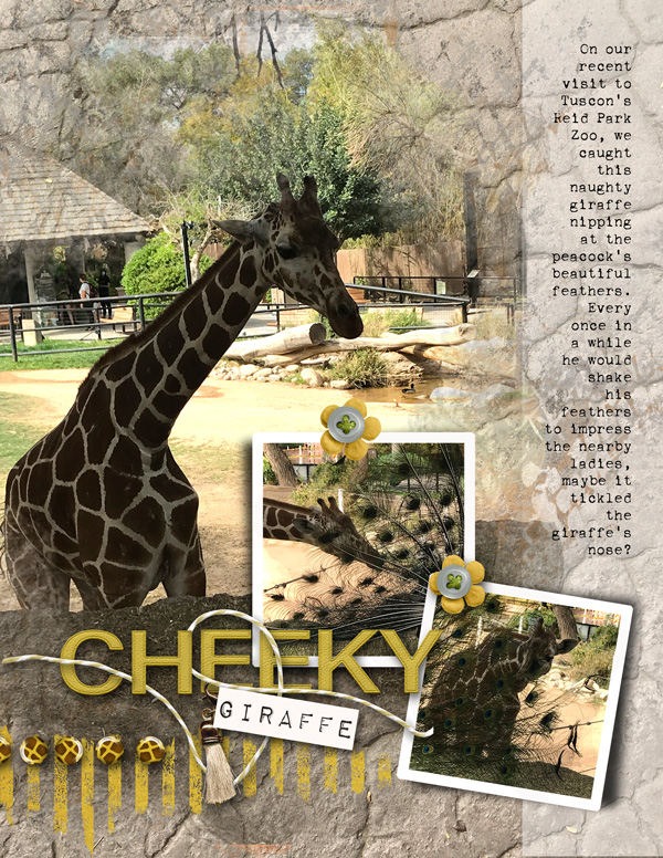 Cheeky Giraffe!