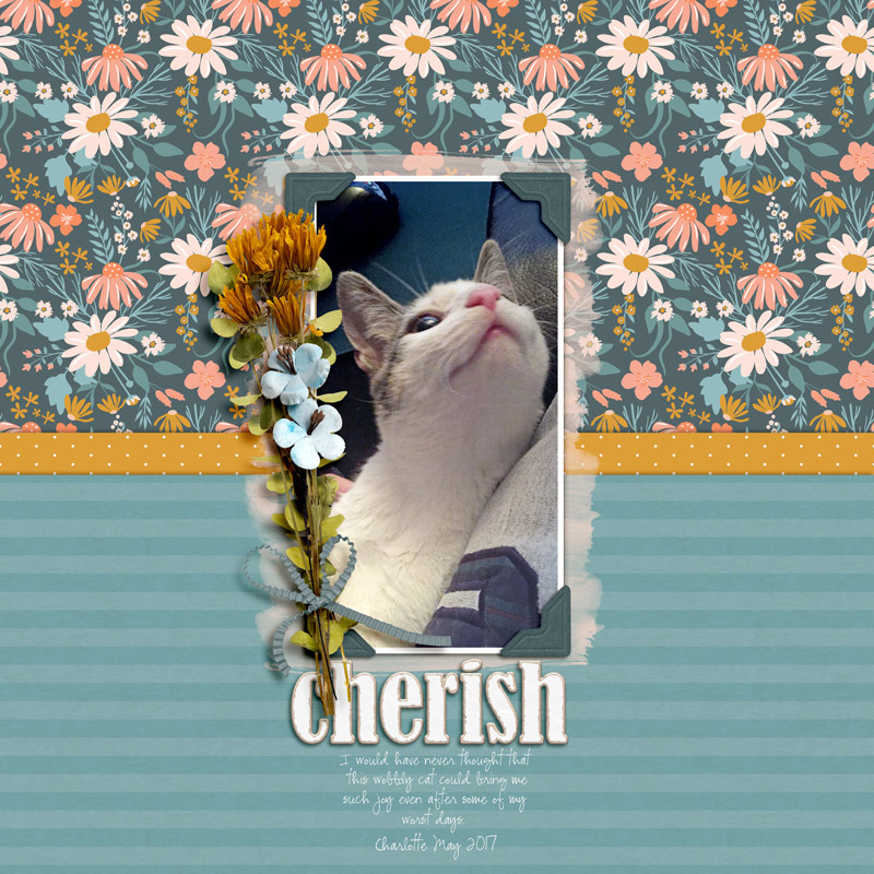 cherish MOC day 1