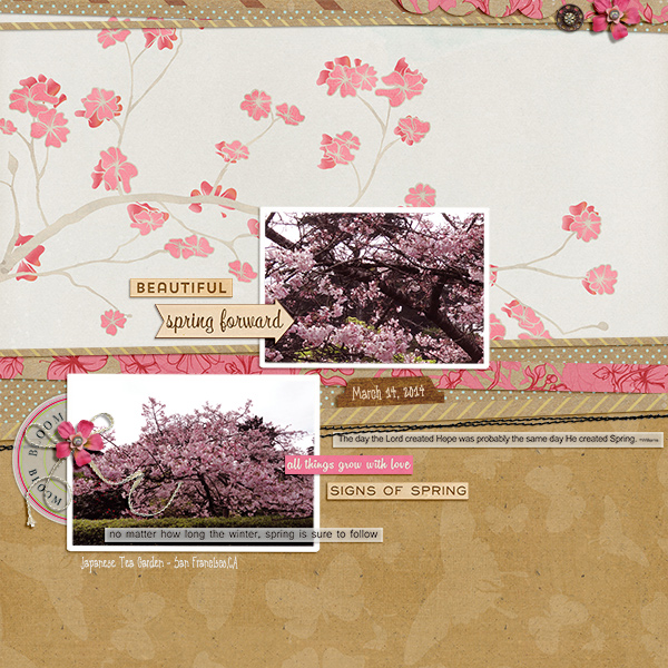 Cherry-blossom