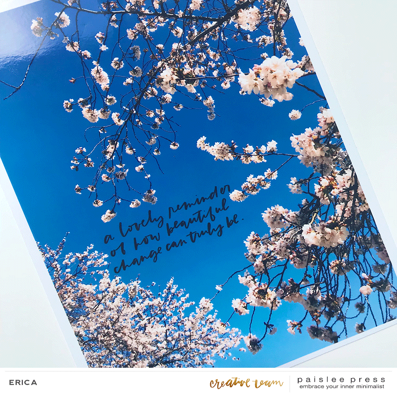 Cherry Blossoms layout (3)