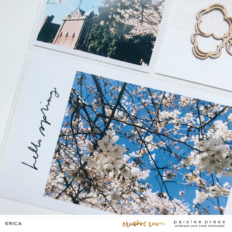 Cherry Blossoms layout (5)