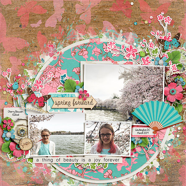 Cherry Blossoms